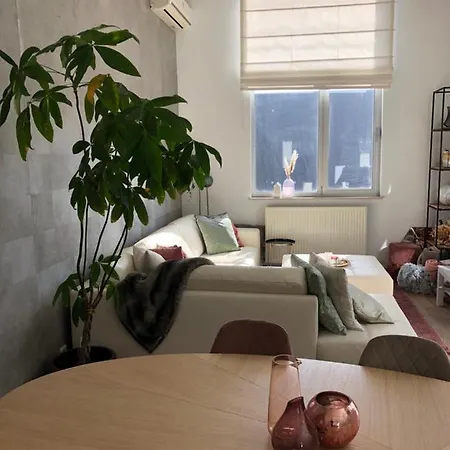 Prachtig Appartement Met Jacuzzi Centrum Hasselt Hasselt
